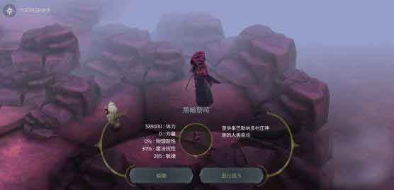 魔女之泉4随从诺亚怎么得