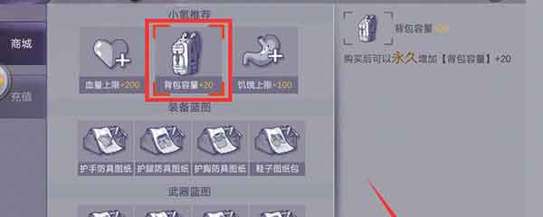 阿瑞斯病毒背包不充钱可以扩充容量吗