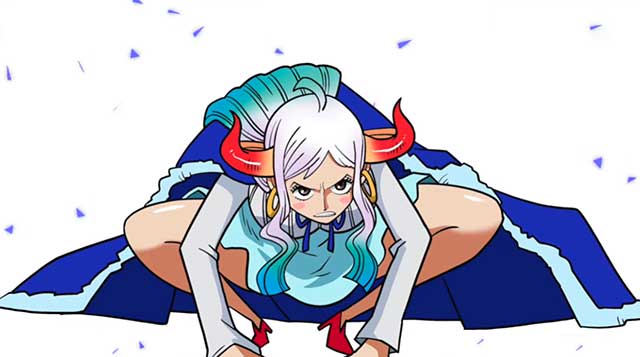 海贼王大和同人本百变秀 大和是男是女
