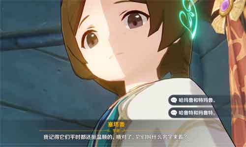 原神两只猫叫什么名字 塞塔蕾答案选项一览