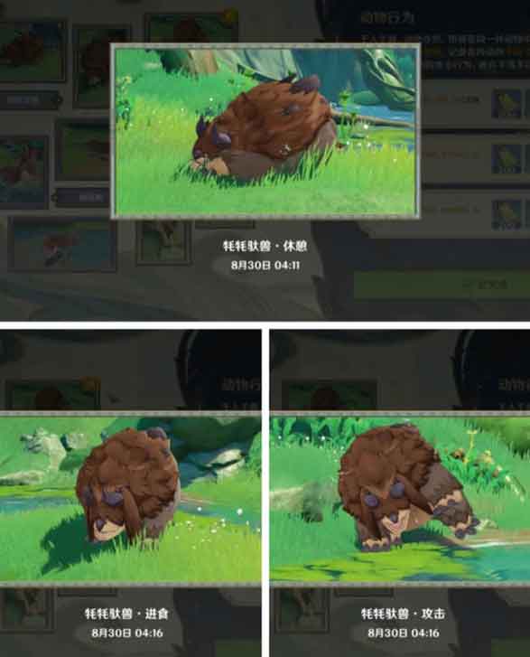 原神动物行为有哪些 动物行为拍摄地点一览