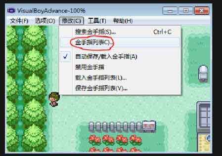 口袋妖怪增强绿宝石金手指作弊码大全