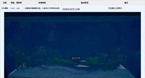 AI少女全宠物图鉴：猫鱼/ヌタウナギ/トアバ/鱼雷