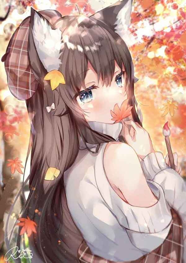 二次元猫耳美女性感可爱图，猫耳娘喜欢吗？