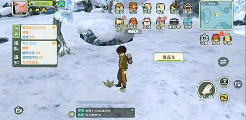 小森生活雪莲位置及刷新时间一览