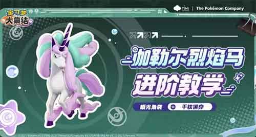 宝可梦大集结伽勒尔烈焰马进阶攻略