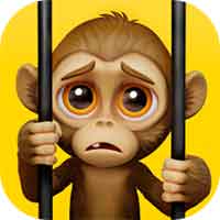 我是一只猴